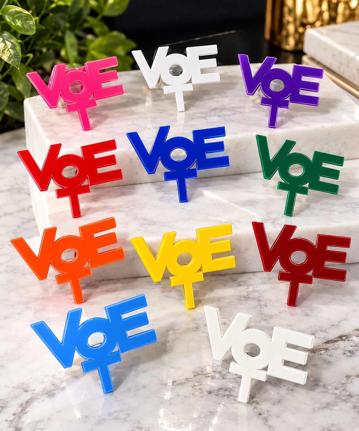Vote Brooch Collection